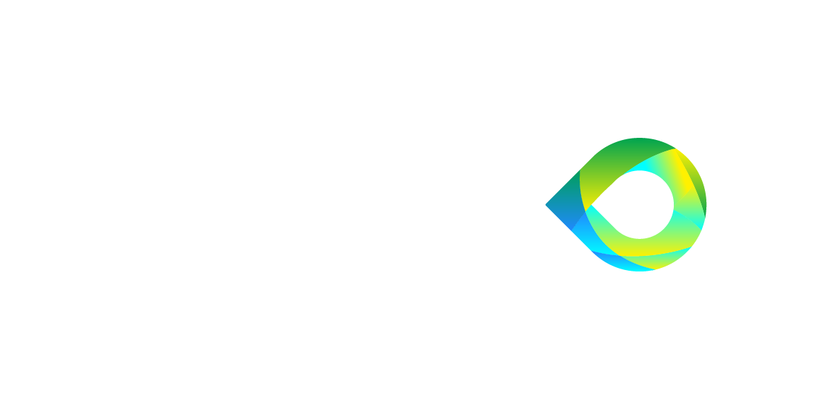 Vecco Group